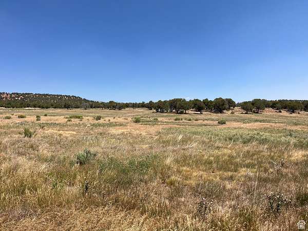 20 Acres of Agricultural Land for Sale in Fruitland, Utah