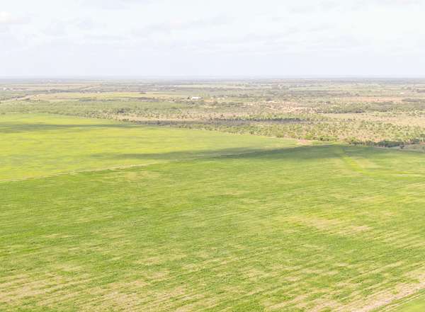 201 Acres of Land for Sale in Rochelle, Texas