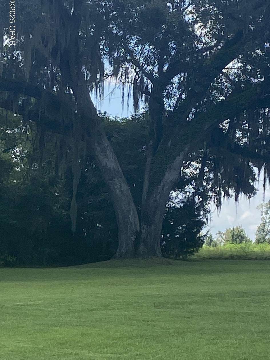 20 Acres of Recreational Land with Home for Sale in Grand Ridge, Florida