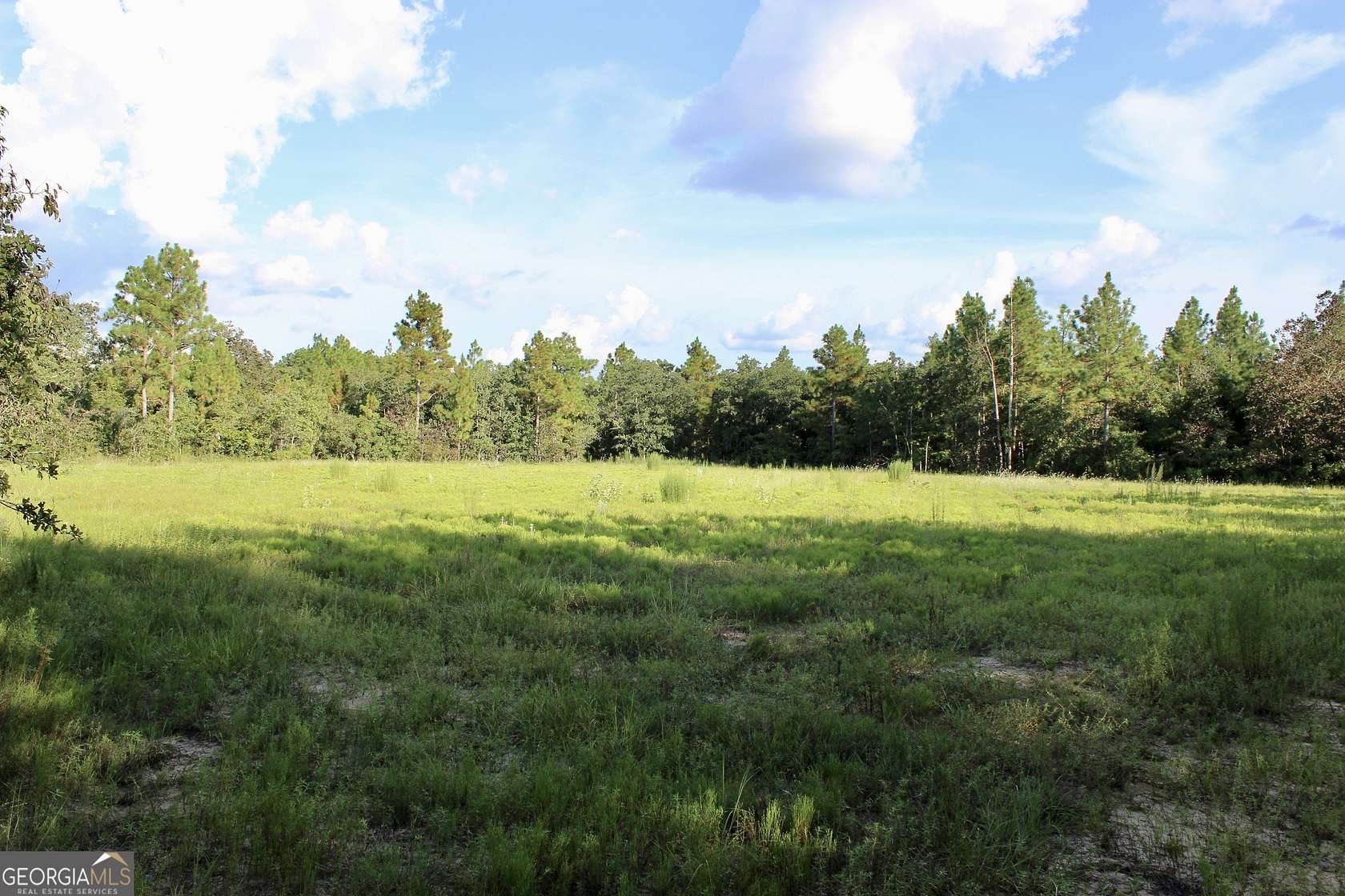 30.1 Acres of Recreational Land for Sale in Butler, Georgia