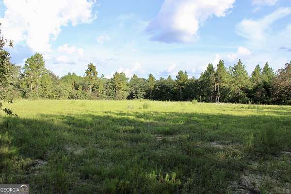 30.1 Acres of Recreational Land for Sale in Butler, Georgia