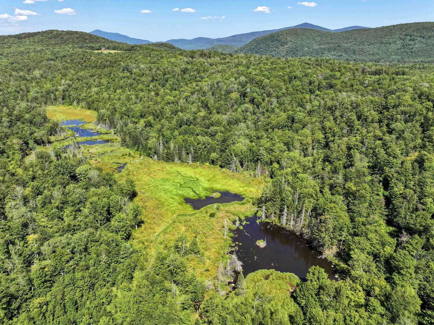 51.9 Acres of Recreational Land for Sale in Ripton, Vermont