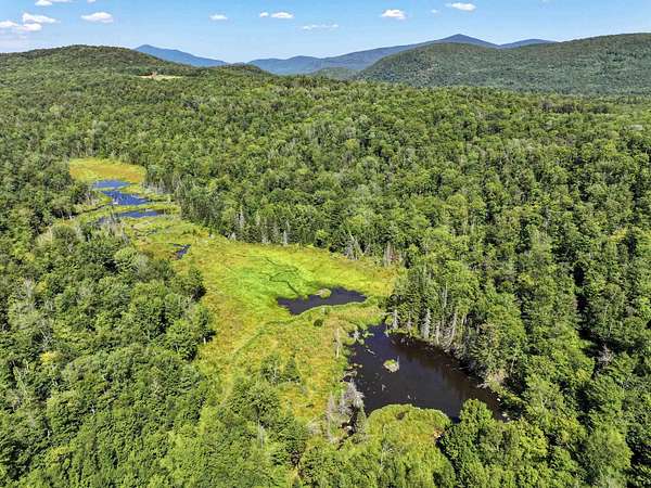 51.9 Acres of Recreational Land for Sale in Ripton, Vermont