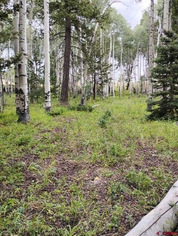 0.75 Acres of Land for Sale in Cimarron, Colorado
