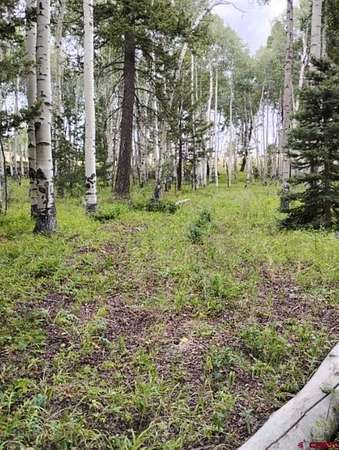 0.75 Acres of Land for Sale in Cimarron, Colorado