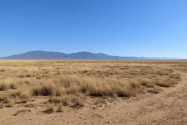 0.5 Acres of Residential Land for Sale in Belen, New Mexico