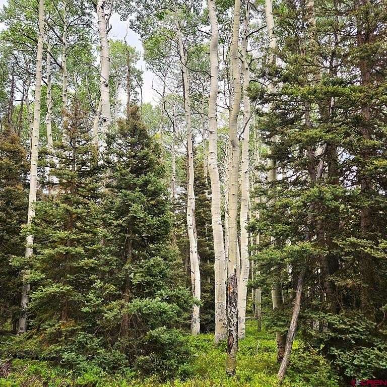 1 Acre of Land for Sale in Cimarron, Colorado