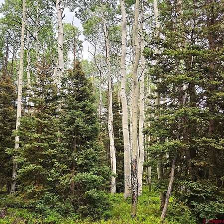 1 Acre of Land for Sale in Cimarron, Colorado