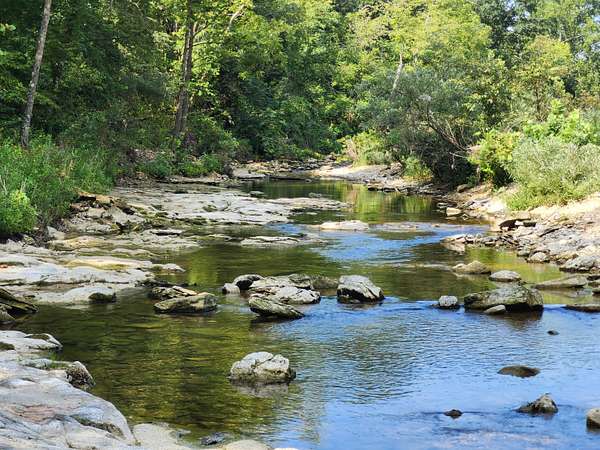 341 Acres of Land for Sale in Cabool, Missouri