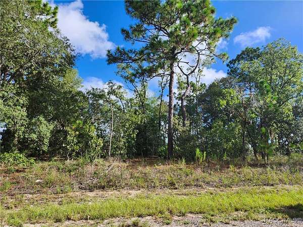 0.23 Acres of Residential Land for Sale in Dunnellon, Florida