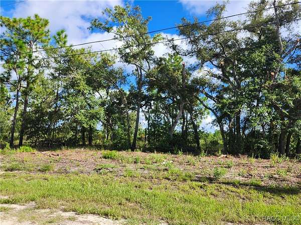 0.23 Acres of Residential Land for Sale in Dunnellon, Florida