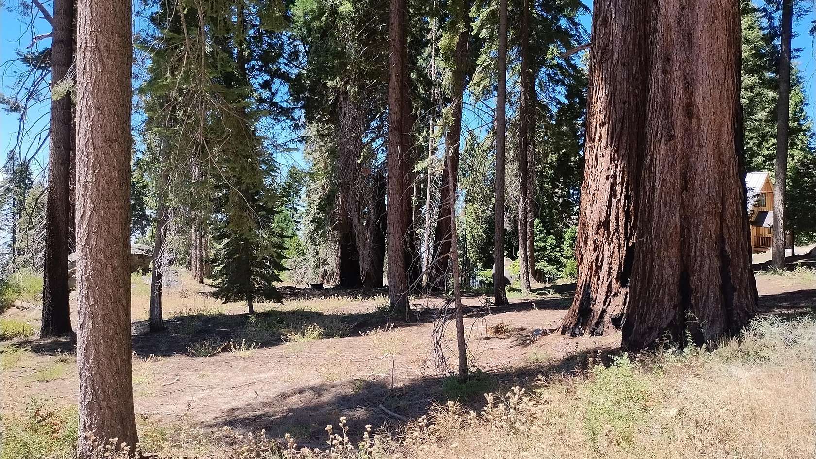 0.38 Acres of Land for Sale in Springville, California