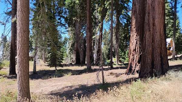 0.38 Acres of Land for Sale in Springville, California