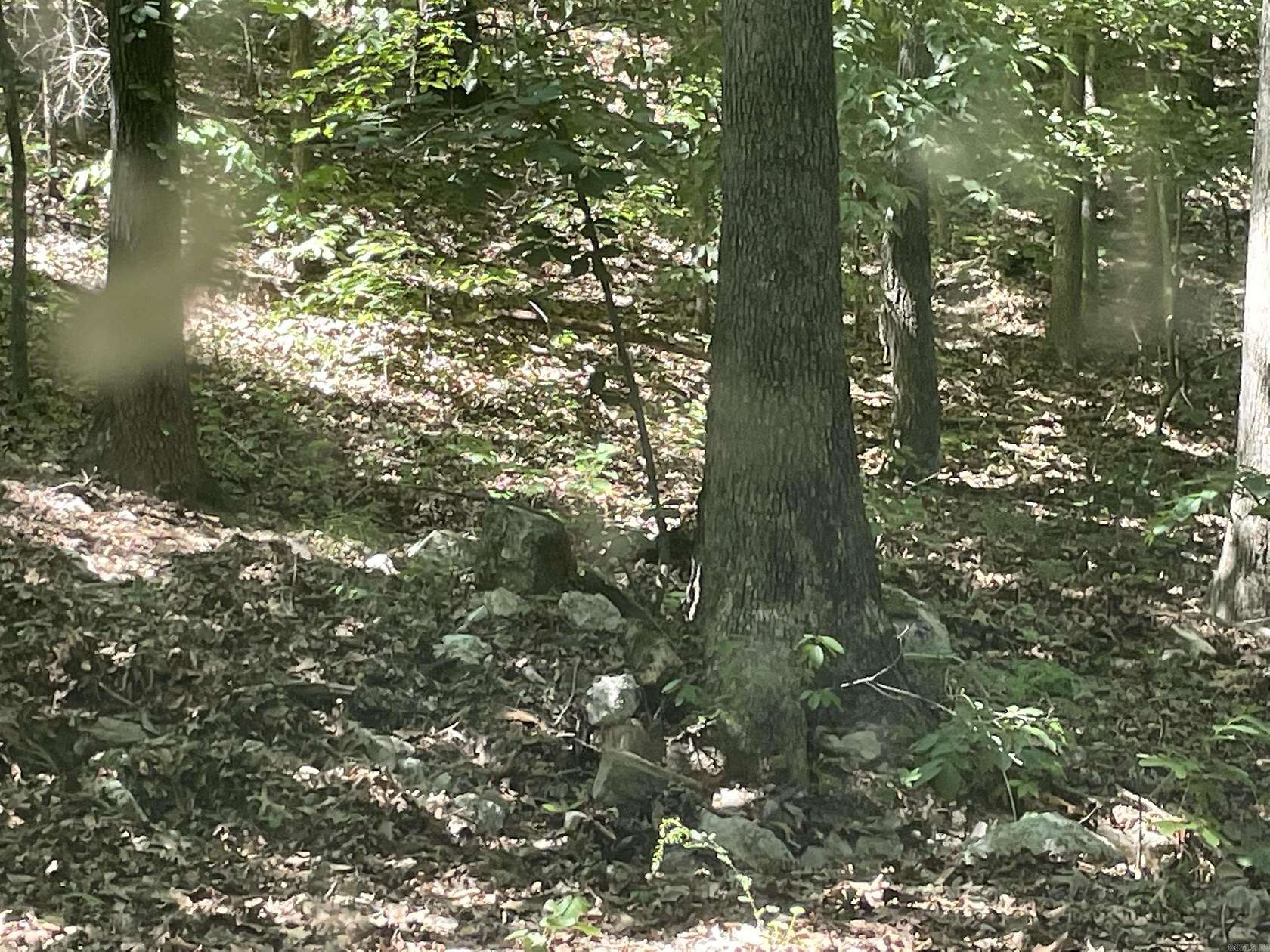 5 Acres of Residential Land for Sale in Poughkeepsie, Arkansas