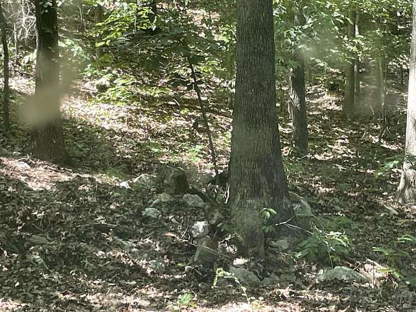 5 Acres of Residential Land for Sale in Poughkeepsie, Arkansas