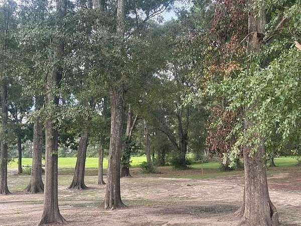 2.8 Acres of Residential Land for Sale in Slocomb, Alabama