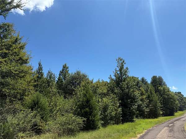 47.7 Acres of Recreational Land for Sale in Mount Pleasant, Texas