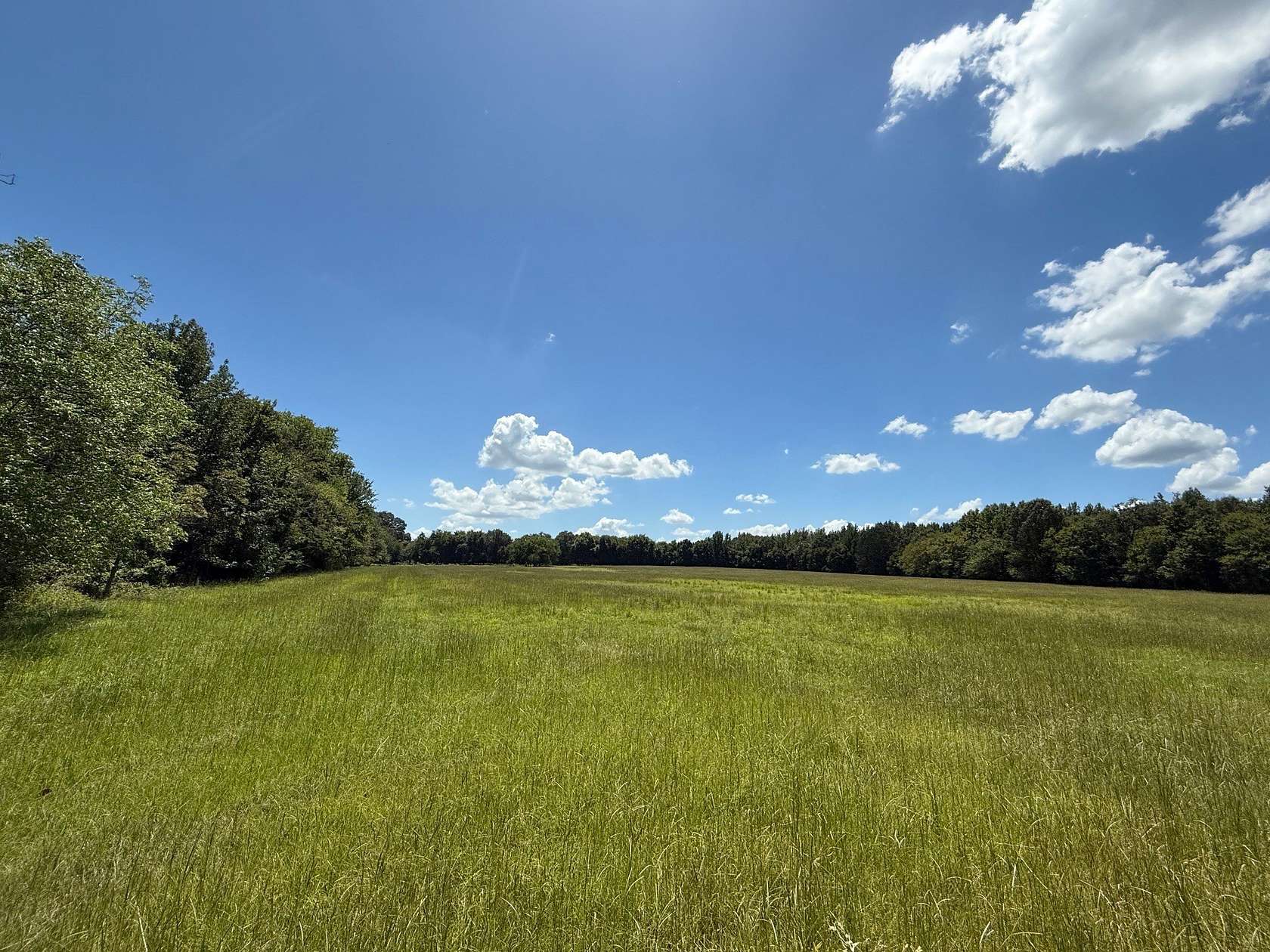 59.7 Acres of Recreational & Residential Land for Sale in Mount Pleasant, Texas