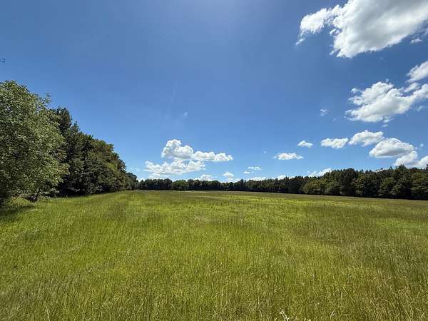 59.7 Acres of Recreational & Residential Land for Sale in Mount Pleasant, Texas