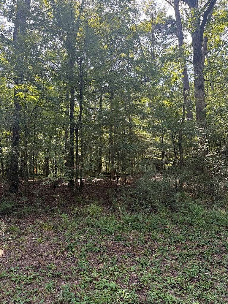 0.29 Acres of Residential Land for Sale in Hemphill, Texas