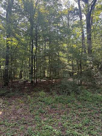 0.29 Acres of Residential Land for Sale in Hemphill, Texas