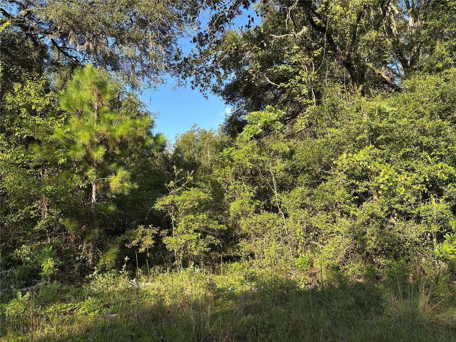 0.46 Acres of Residential Land for Sale in Fanning Springs, Florida