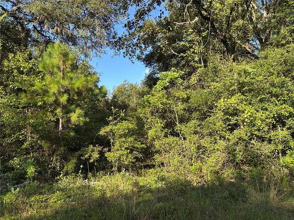0.46 Acres of Residential Land for Sale in Fanning Springs, Florida
