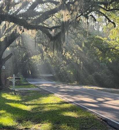 0.78 Acres of Residential Land for Sale in McClellanville, South Carolina