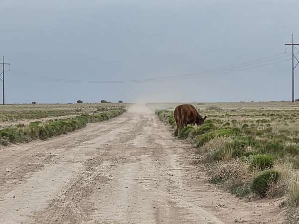5 Acres of Land for Sale in Socorro, New Mexico