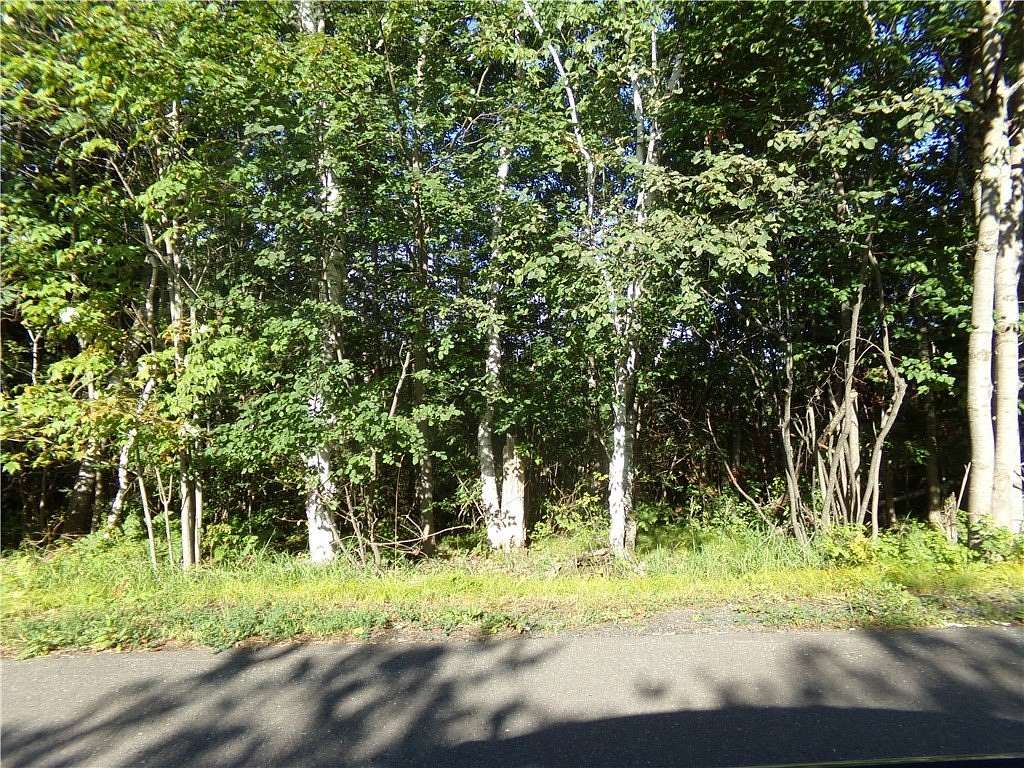 5 Acres of Residential Land for Sale in Lake Nebagamon, Wisconsin