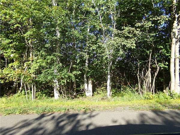 5 Acres of Residential Land for Sale in Lake Nebagamon, Wisconsin