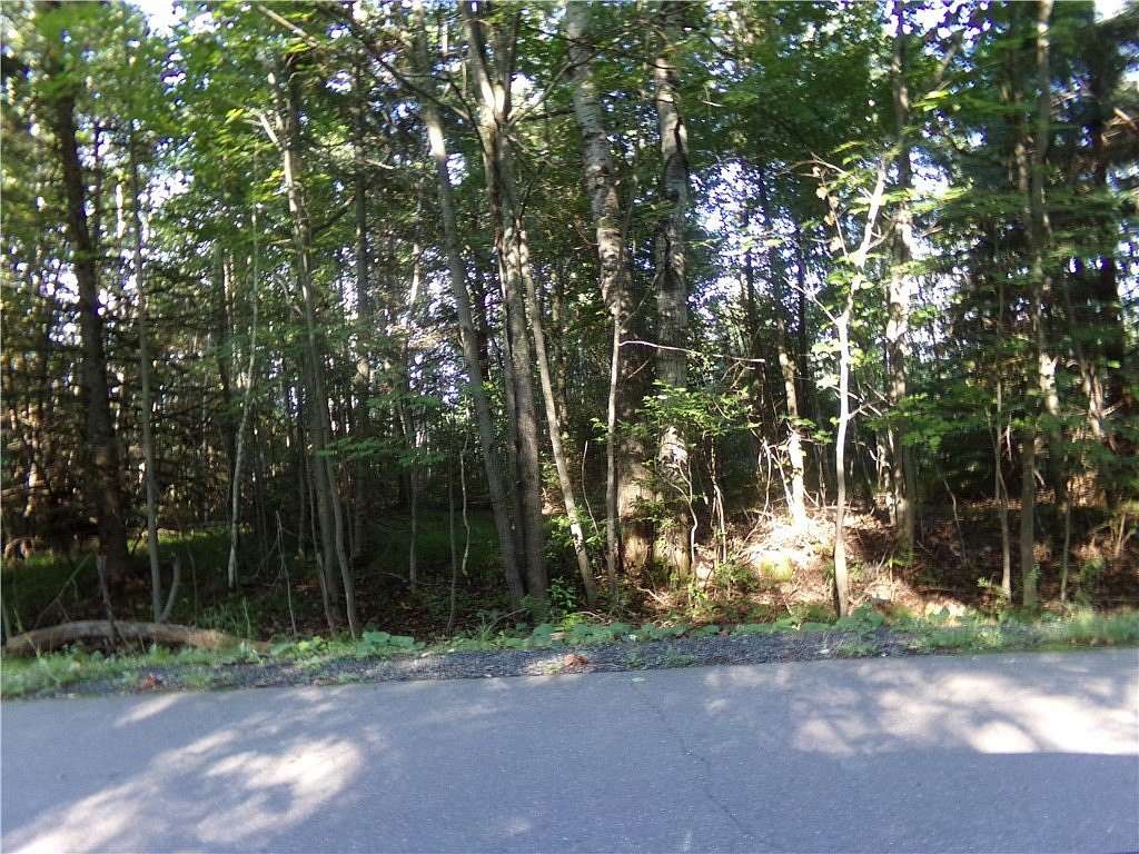 5 Acres of Residential Land for Sale in Lake Nebagamon, Wisconsin