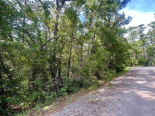 0.2 Acres of Residential Land for Sale in Brookeland, Texas
