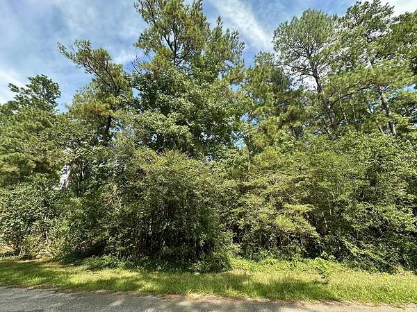 0.31 Acres of Residential Land for Sale in Brookeland, Texas