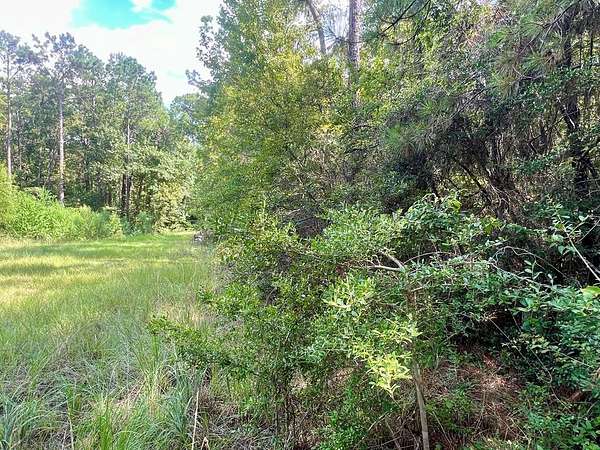 0.22 Acres of Residential Land for Sale in Brookeland, Texas