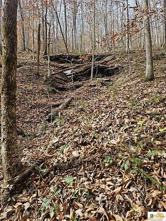 19.3 Acres of Recreational & Residential Land for Sale in Burkesville, Kentucky