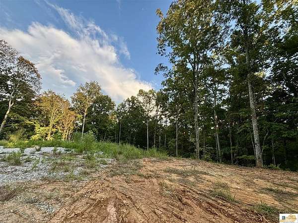 19.3 Acres of Recreational & Residential Land for Sale in Burkesville, Kentucky
