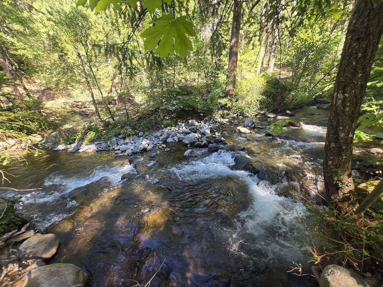 10 Acres of Land for Sale in Montgomery Creek, California