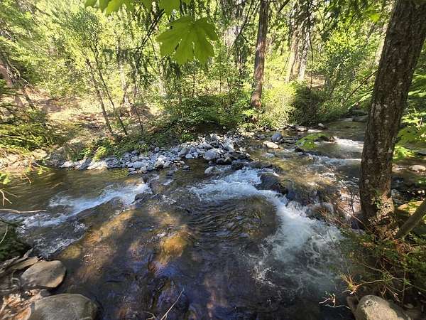 10 Acres of Land for Sale in Montgomery Creek, California