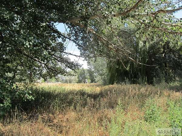 1 Acre of Land for Sale in Lewisville, Idaho