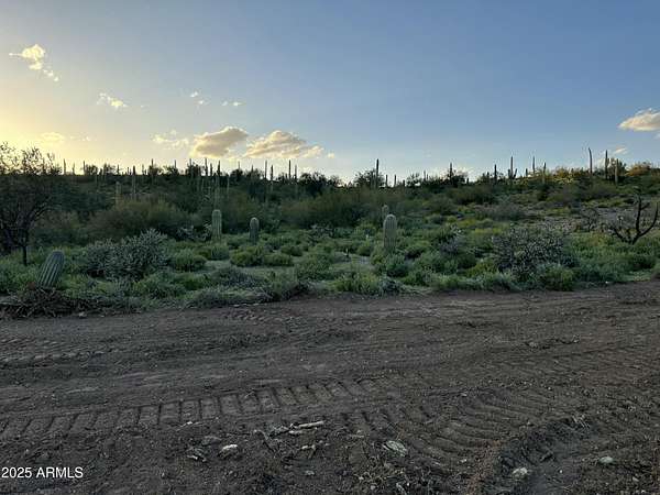 10.1 Acres of Land for Sale in Queen Valley, Arizona