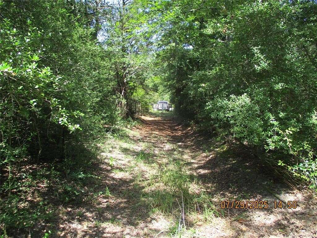 26 Acres of Recreational Land for Sale in Kosse, Texas