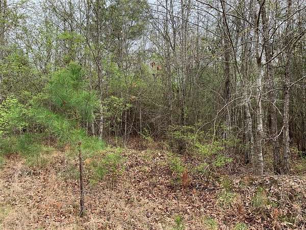 9.77 Acres of Land for Sale in Jamestown, Louisiana