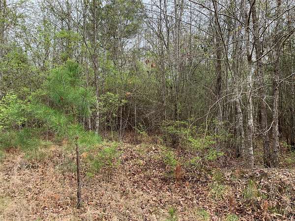 9.77 Acres of Land for Sale in Jamestown, Louisiana