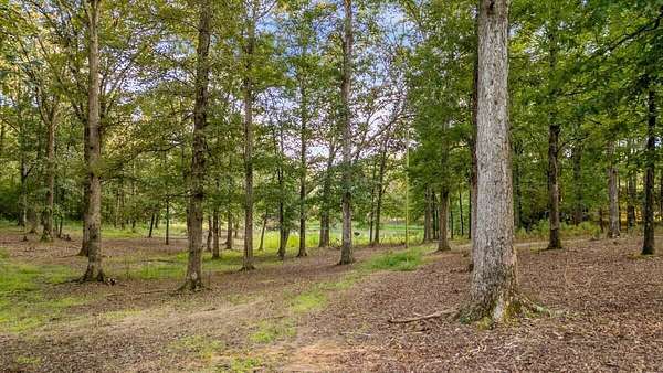 4.8 Acres of Residential Land for Sale in Eldridge, Alabama