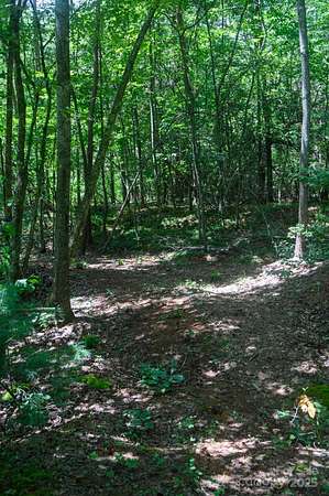 10 Acres of Residential Land for Sale in Lenoir, North Carolina