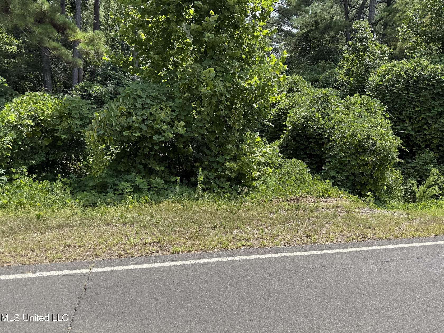 3 Acres of Land for Sale in Byhalia, Mississippi