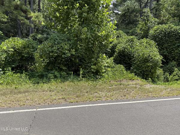 3 Acres of Land for Sale in Byhalia, Mississippi