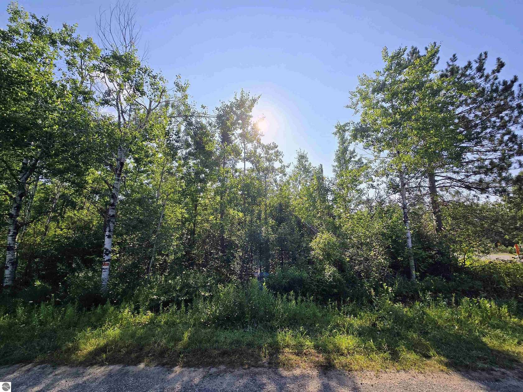 0.5 Acres of Residential Land for Sale in Elmira, Michigan