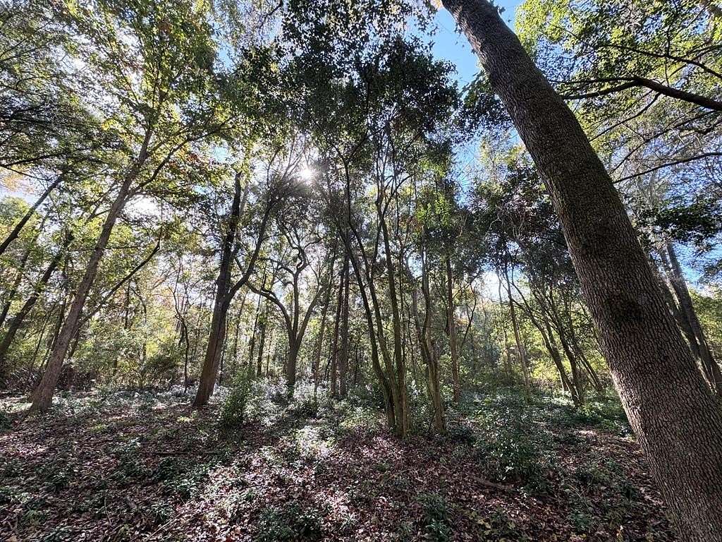 25 Acres of Land for Sale in Thomasville, Georgia
